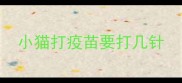 小猫打疫苗要打几针
