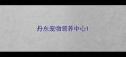 丹东宠物领养中心