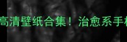 拉布拉多萌宠高清壁纸合集治愈系手机桌面必备