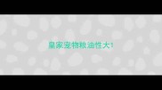 皇家宠物粮油性大