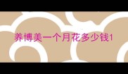 养博美一个月花多少钱