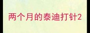 两个月的泰迪打针