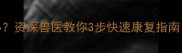 哈士奇肺炎怎么办资深兽医教你3步快速康复指南附护理全攻略