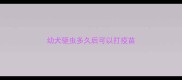 幼犬驱虫多久后可以打疫苗