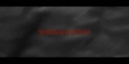 宠物狗疫苗预防针
