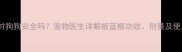 板蓝根对狗狗安全吗宠物医生详解板蓝根功效剂量及使用禁忌