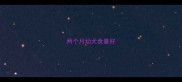 两个月幼犬食量好