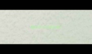 猫咪多大开始发情