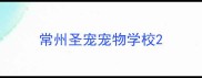 常州圣宠宠物学校