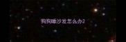 狗狗睡沙发怎么办