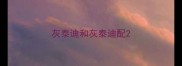 灰泰迪和灰泰迪配