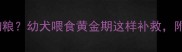 1月大幼犬拒食狗粮幼犬喂食黄金期这样补救附辅食添加全攻略