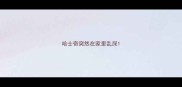 哈士奇突然在家里乱尿