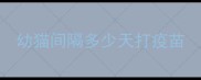 幼猫间隔多少天打疫苗