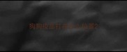 狗狗疫苗打在什么位置