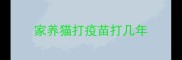 家养猫打疫苗打几年