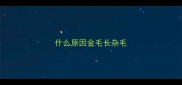 什么原因金毛长杂毛