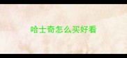 哈士奇怎么买好看