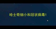哈士奇细小和冠状病毒