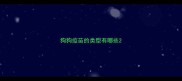 狗狗疫苗的类型有哪些
