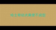 哈士奇幼犬粪便不成型