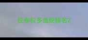 拉布拉多血统排名