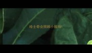 哈士奇会照顾小孩吗