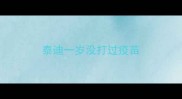 泰迪一岁没打过疫苗