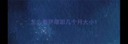 怎么看萨摩耶几个月大小