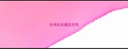 拉布拉多建议买吗