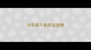 动车能不能托运宠物