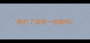 狗打了疫苗一抱就叫