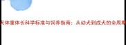 拉布拉多犬体重体长科学标准与饲养指南从幼犬到成犬的全周期健康管理