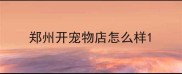 郑州开宠物店怎么样