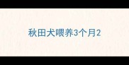 秋田犬喂养3个月