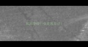 我国宠物行业发展现状