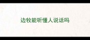 边牧能听懂人说话吗