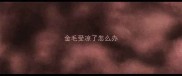 金毛受凉了怎么办