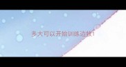 多大可以开始训练边牧