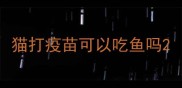 猫打疫苗可以吃鱼吗