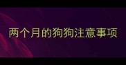 两个月的狗狗注意事项