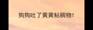 狗狗吐了黄黄粘稠物