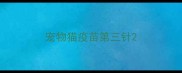 宠物猫疫苗第三针