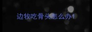 边牧吃骨头怎么办