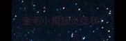 金毛小狗肠炎症状