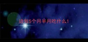 边牧5个月半月吃什么