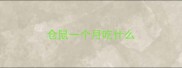 仓鼠一个月吃什么