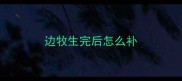 边牧生完后怎么补