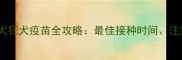 新手必看金毛犬狂犬疫苗全攻略最佳接种时间注意事项和避坑指南