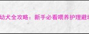 两个月大幼犬全攻略新手必看喂养护理避坑指南